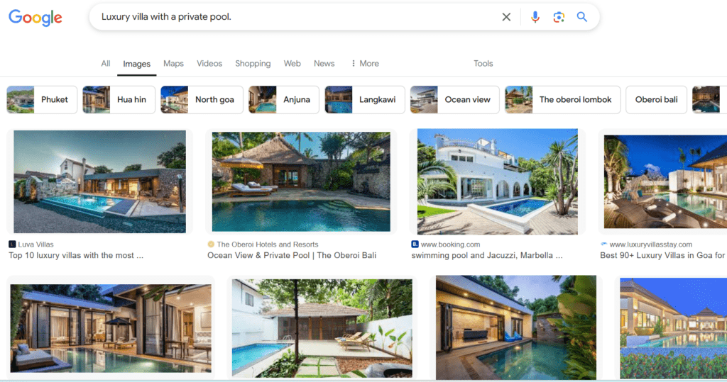 Example of ALT Text in Image Search