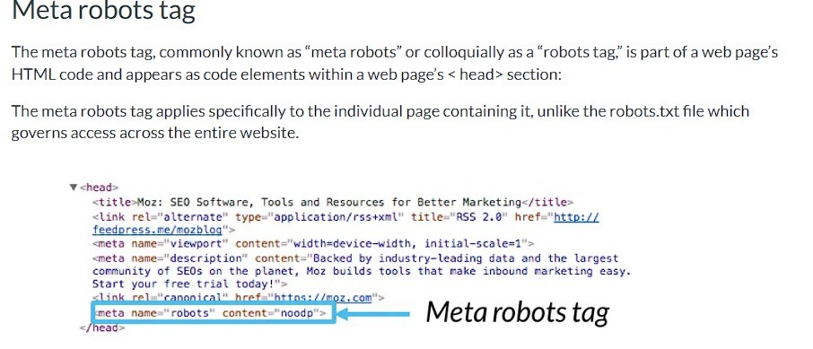 Meta Robots Tag