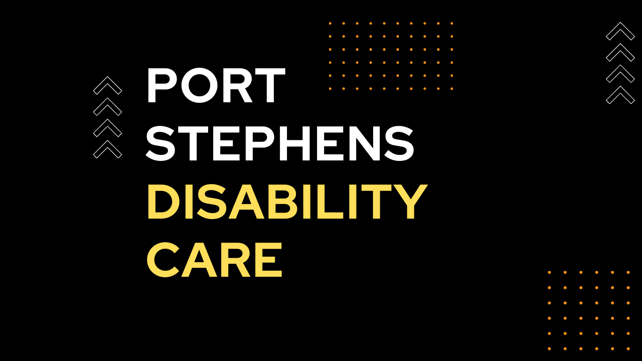 port stephens disability care SEO case study